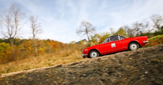 Rajd Żubrów 2013